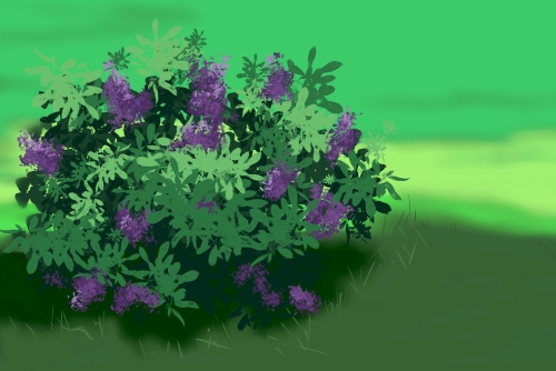 Bush digital study
